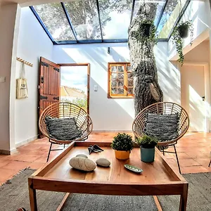 Tree House Porto Santo